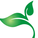 Marwadi-Logo